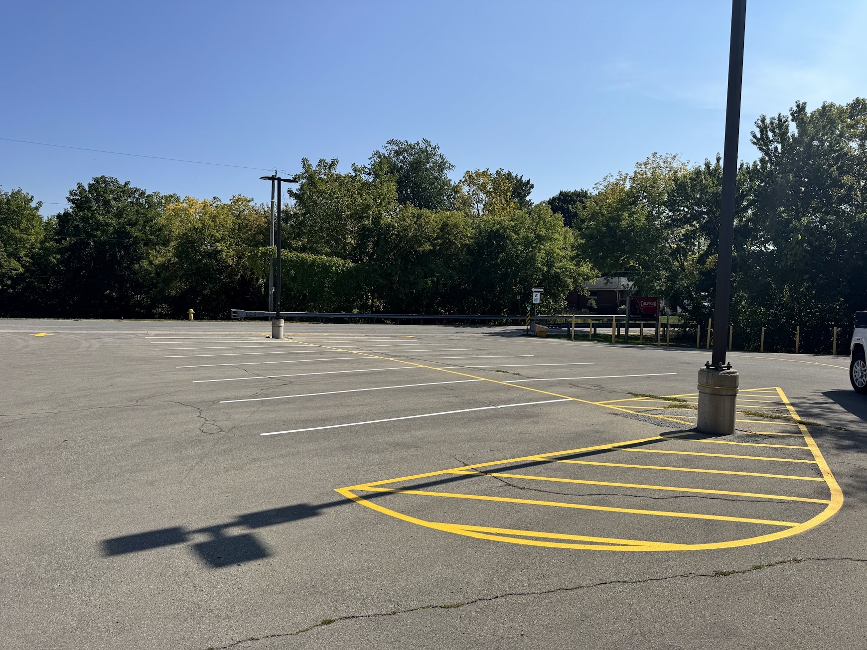 Line painting 22